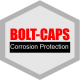 Bolt caps logo